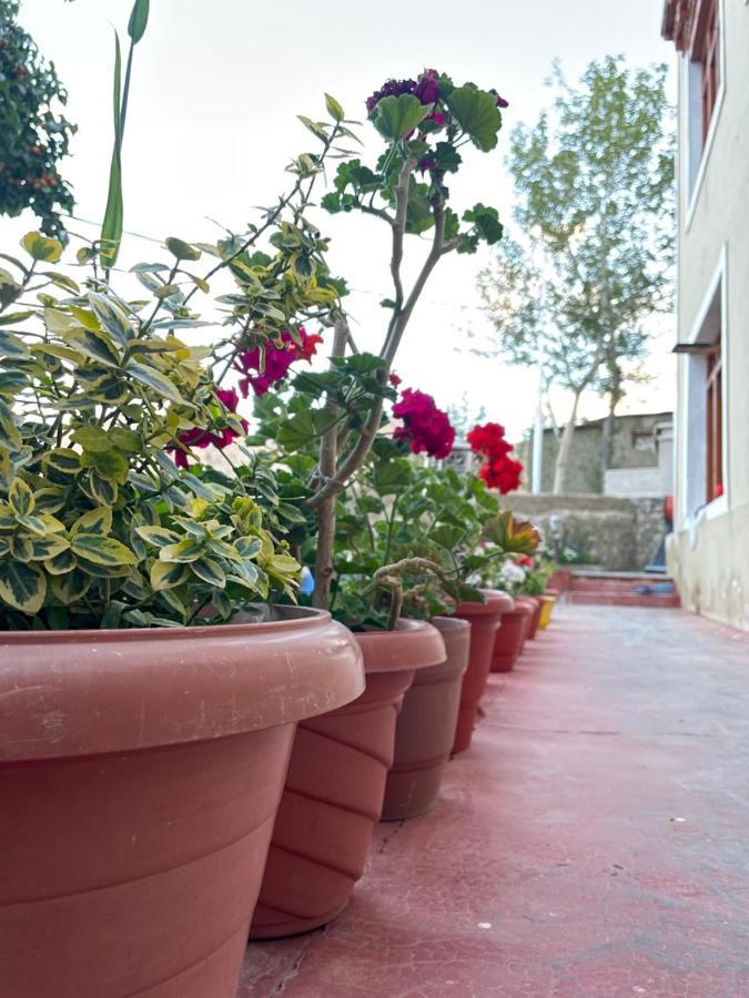 Gaywoo Guest House Leh Extérieur photo