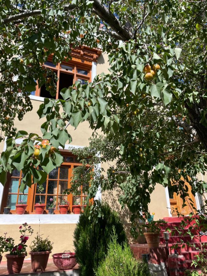 Gaywoo Guest House Leh Extérieur photo